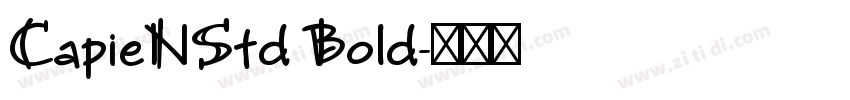 CapieNStd Bold字体转换